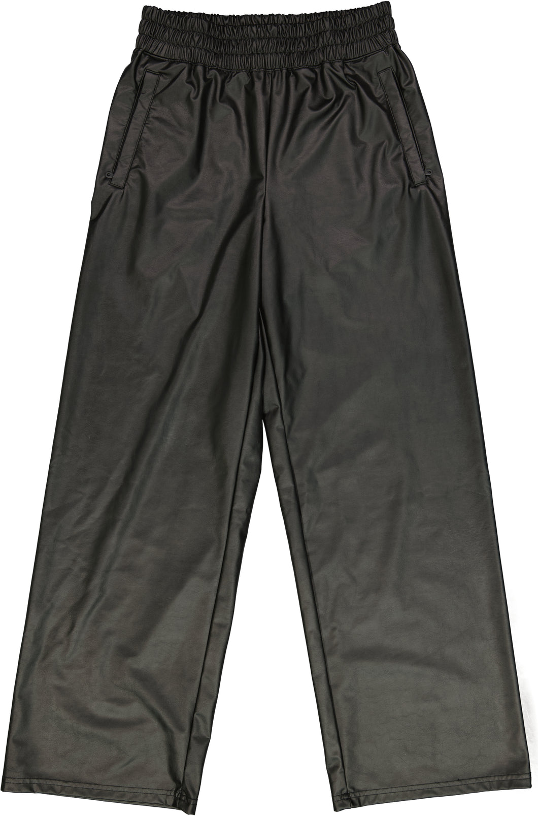 AERIE PANTS OTHER Size S