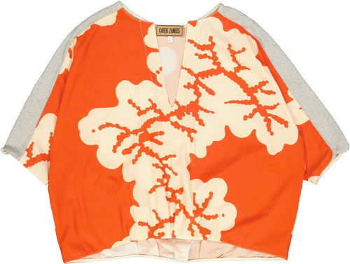 CMB-TOP SS Size L